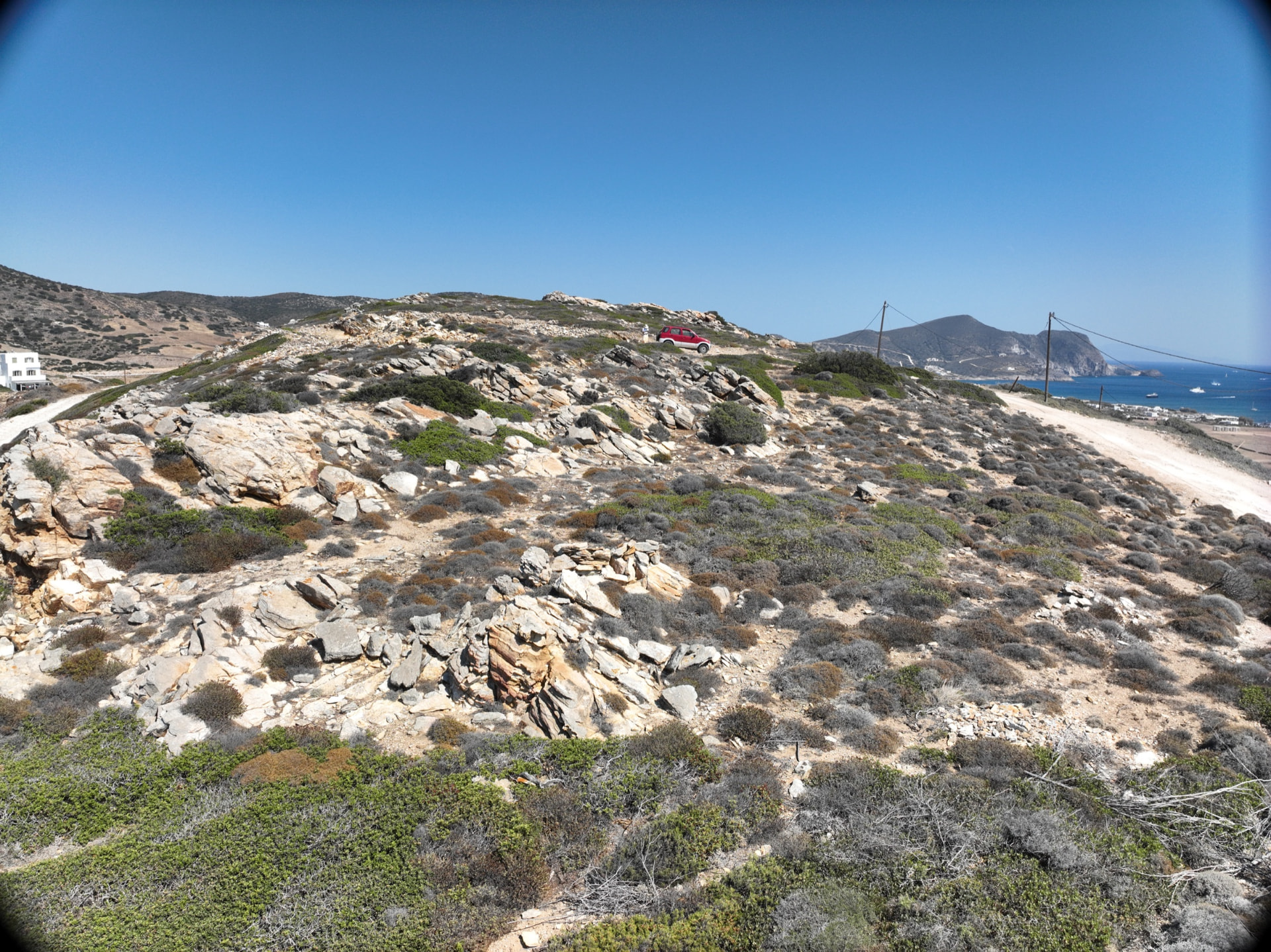 Rock, thyme and low scrub across the site before building begins.
